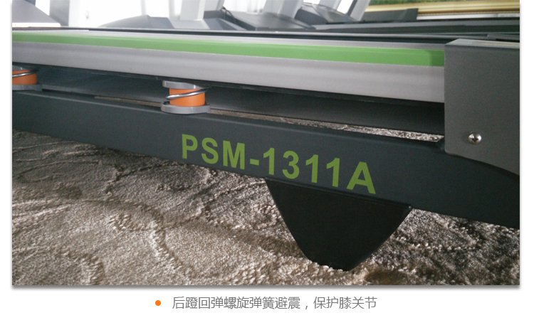 psm1311a_24.jpg