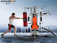 綜合指數(shù)表現(xiàn)出色，消費者力挺賽瑪綜合訓練器