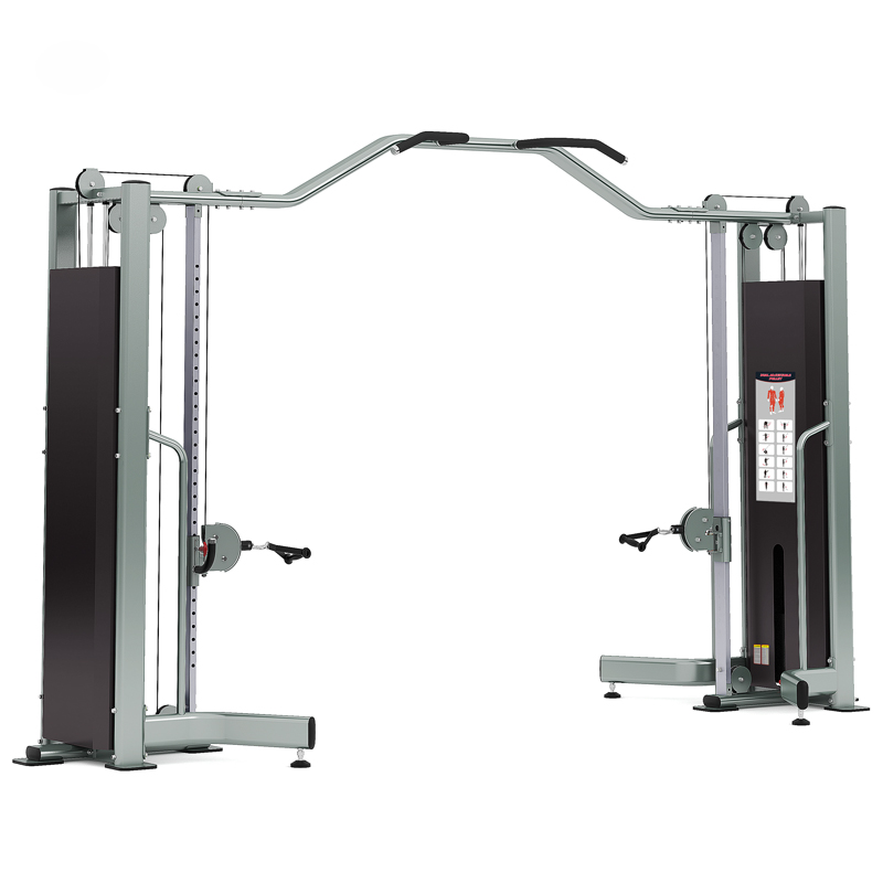 大飛鳥PSM-GS319 大飛鳥PSM-GS319