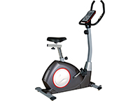 豪華立式車PSM-8718 豪華立式車PSM-8718