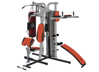 豪華三站綜合訓(xùn)練器PSM-168 豪華三站綜合訓(xùn)練器PSM-168