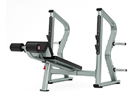 下斜推胸訓(xùn)練器PSM-GC106 下斜推胸訓(xùn)練器PSM-GC106