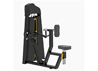 坐姿劃船訓(xùn)練器 AC-C029 坐姿劃船訓(xùn)練器 AC-C029