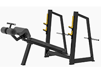 下斜推胸訓(xùn)練器 AC-C039 下斜推胸訓(xùn)練器 AC-C039